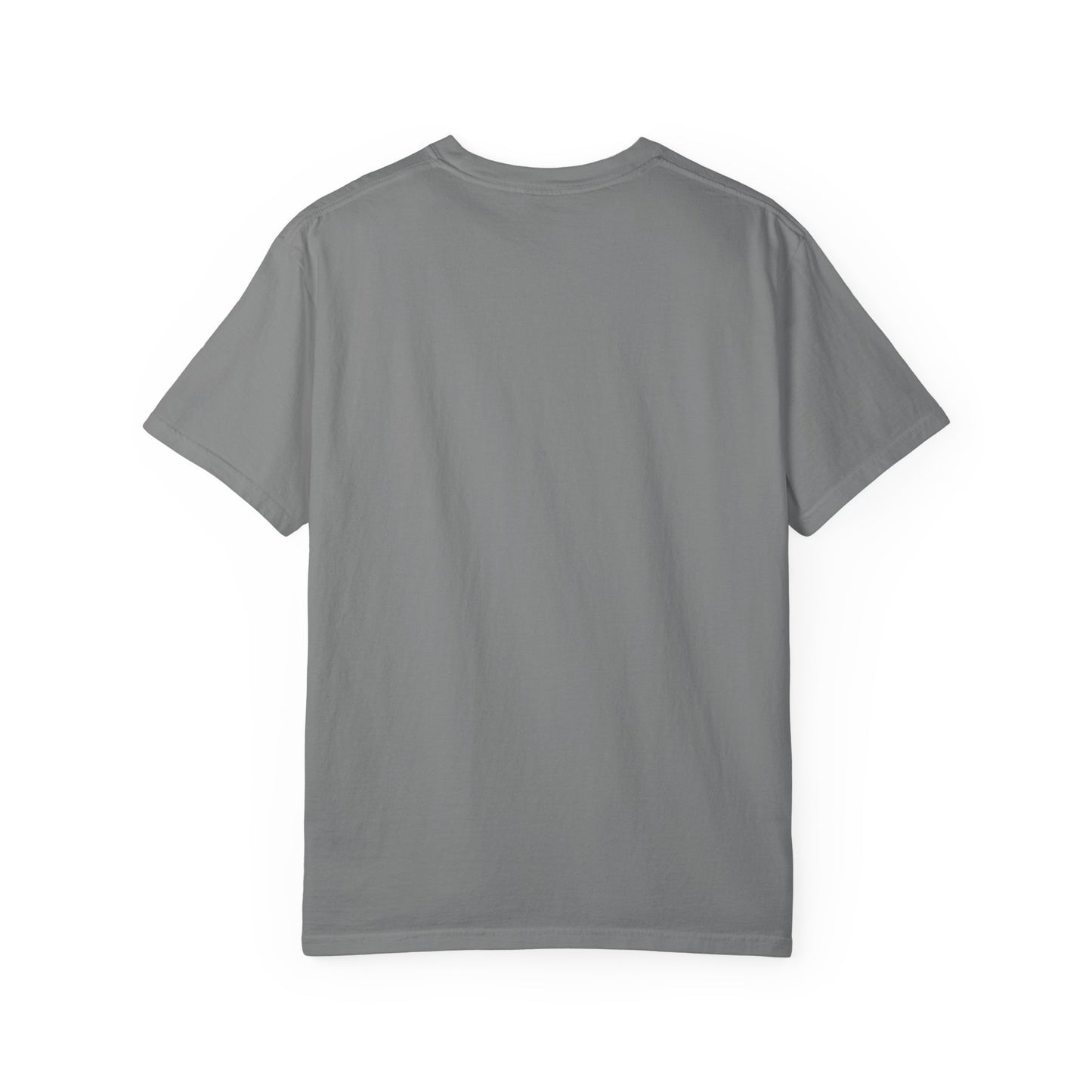 Hornets Unisex Garment-Dyed T-shirt