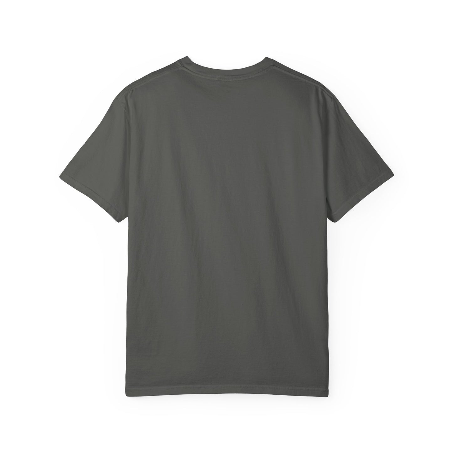 Hornets Unisex Garment-Dyed T-shirt
