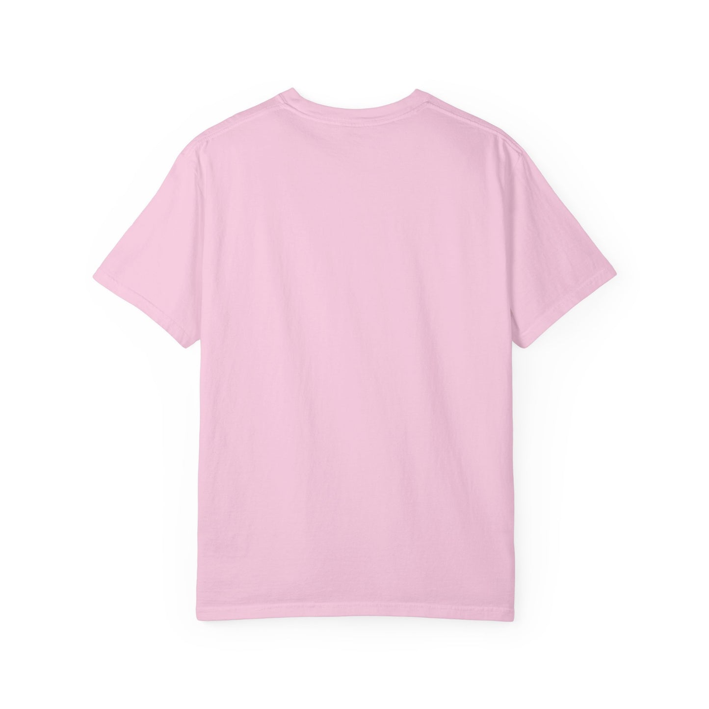 Hornets Unisex Garment-Dyed T-shirt
