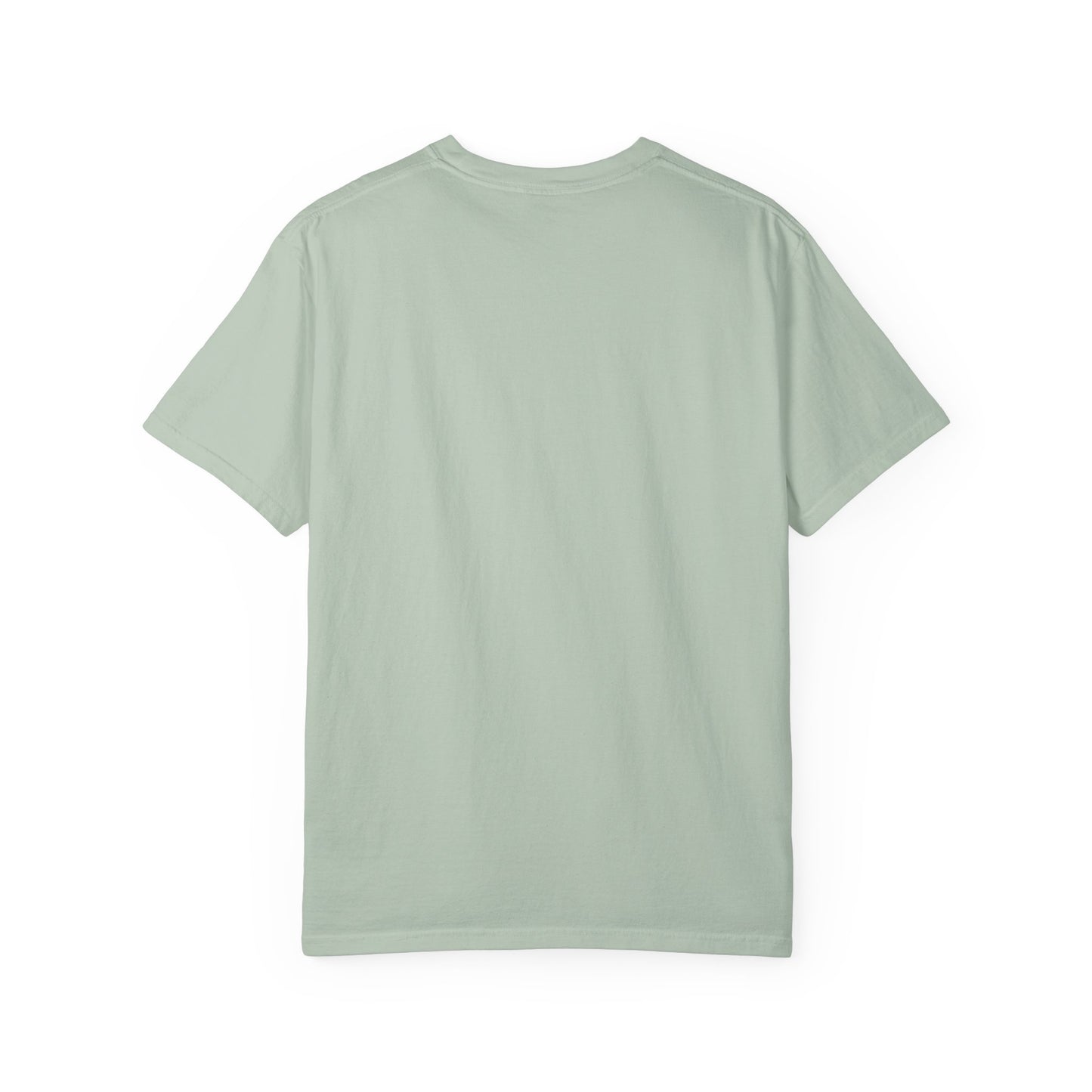 Hornets Unisex Garment-Dyed T-shirt