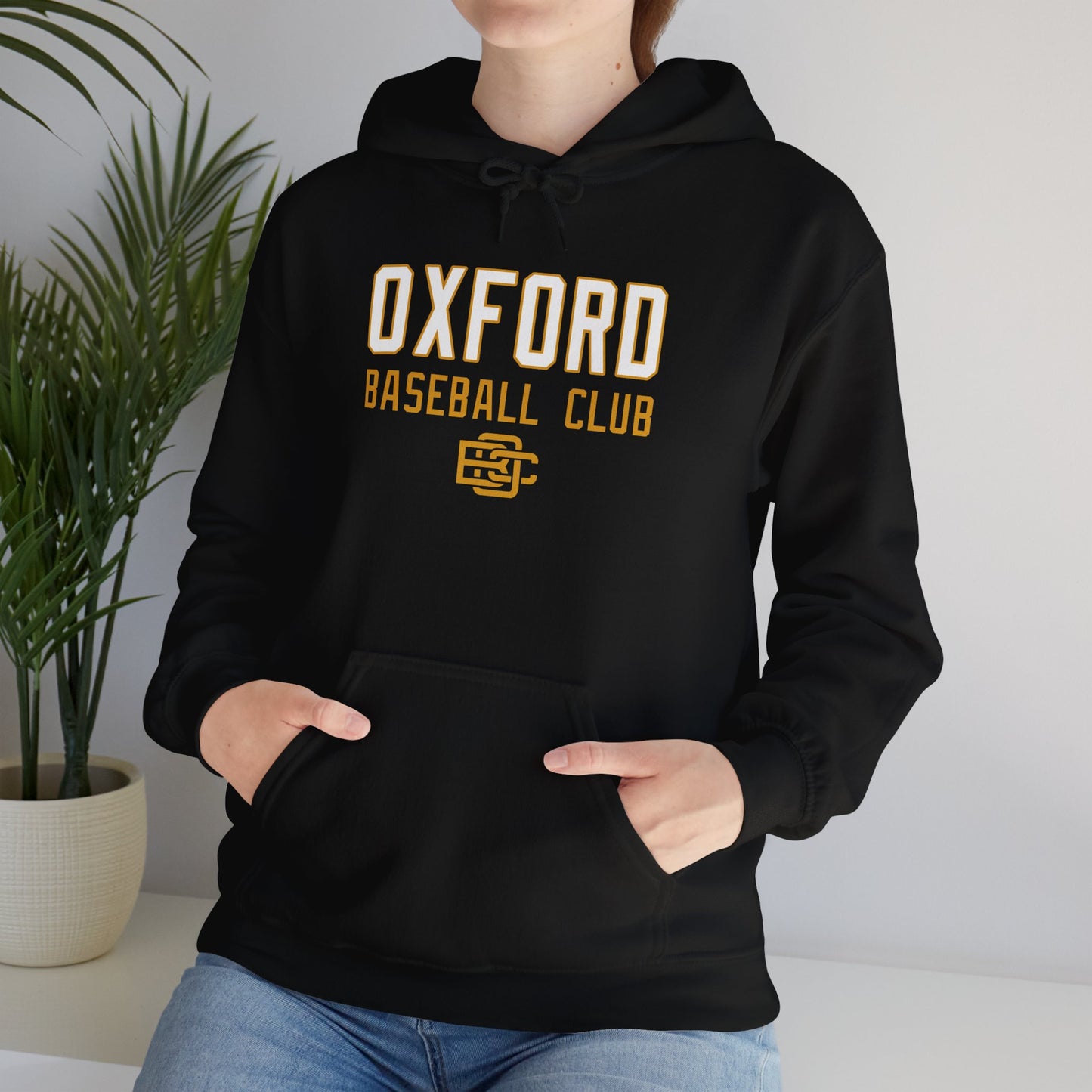 OBC Heavy Blend™ Hooded Sweatshirt