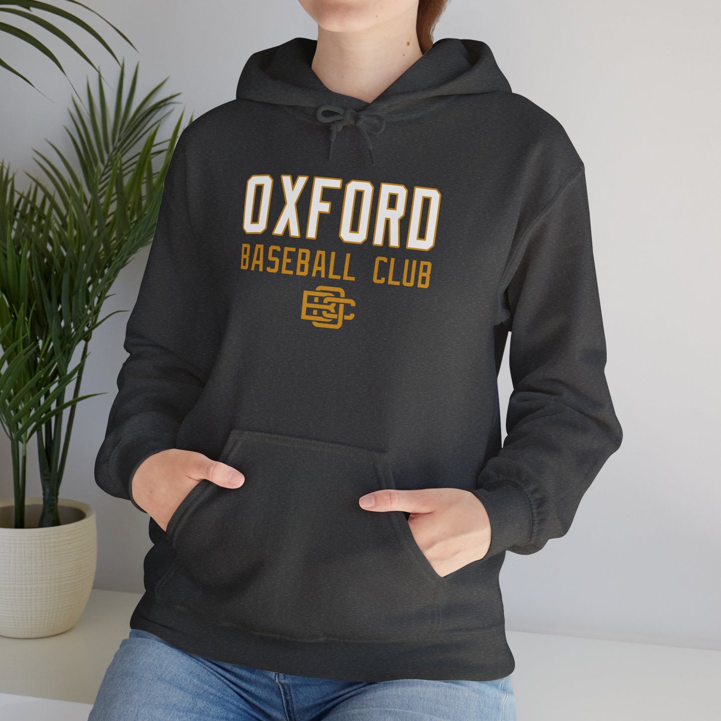 OBC Heavy Blend™ Hooded Sweatshirt