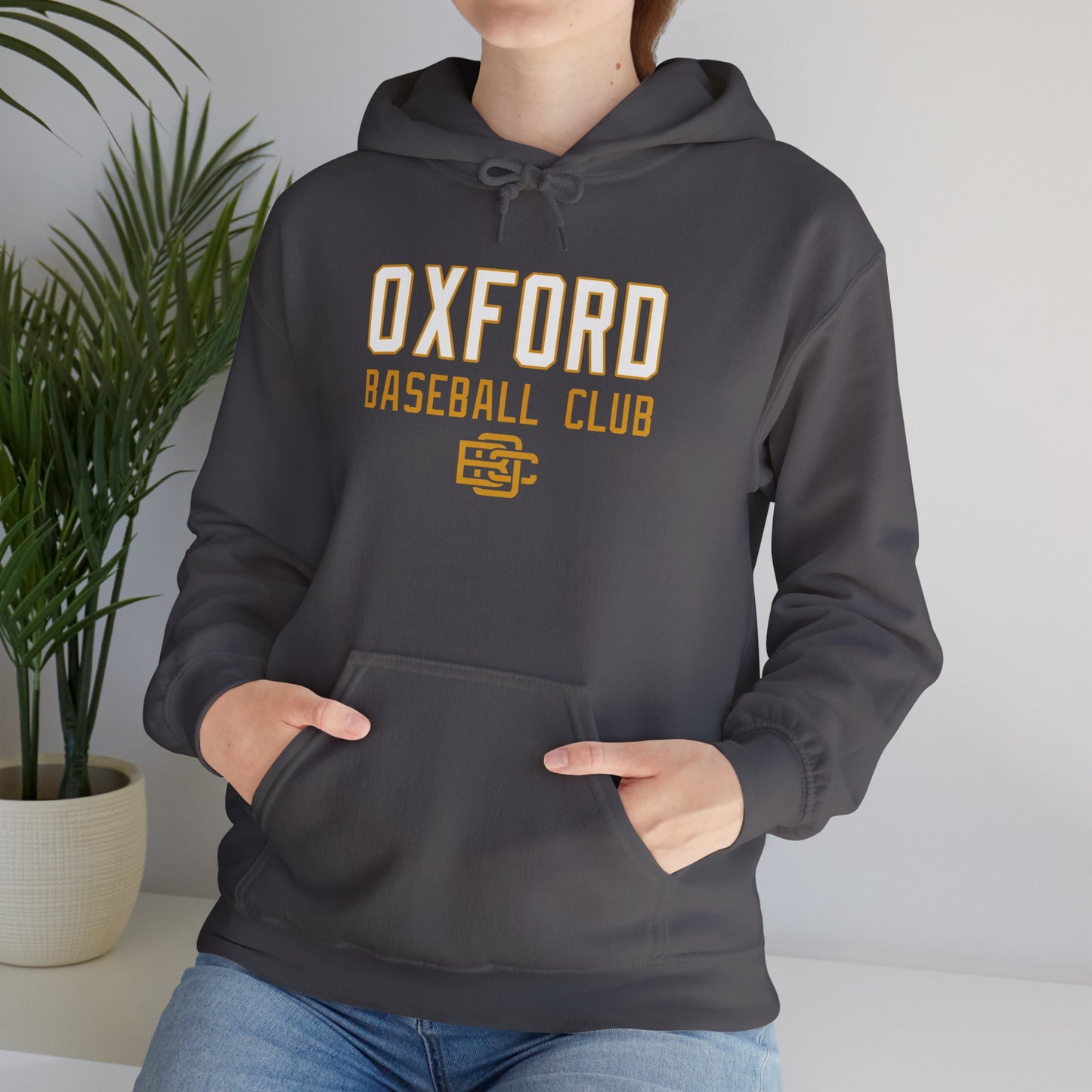 OBC Heavy Blend™ Hooded Sweatshirt