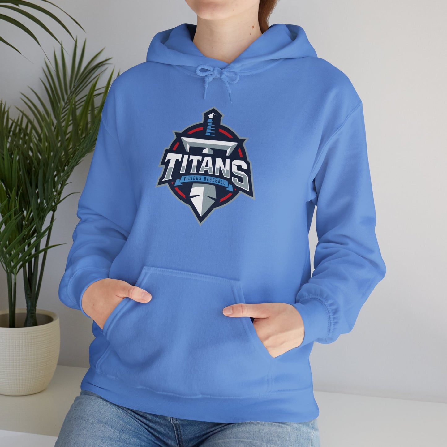 VB Titans Unisex Heavy Blend™ Hooded Sweatshirt